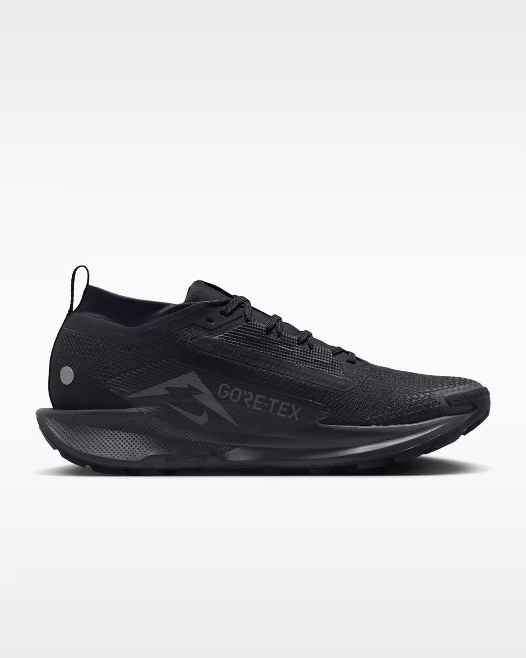 Nike Pegasus Trail 5 GORE-TEX Men's Waterproof - Black