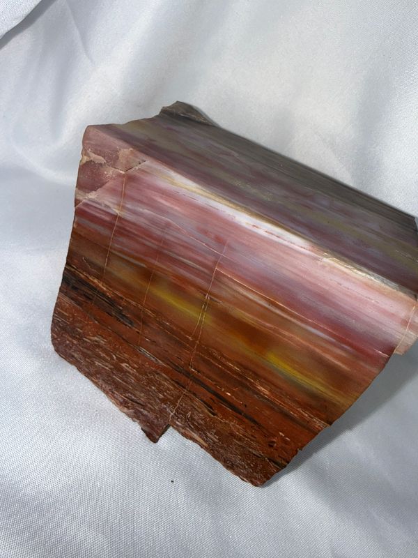 Petrified Wood