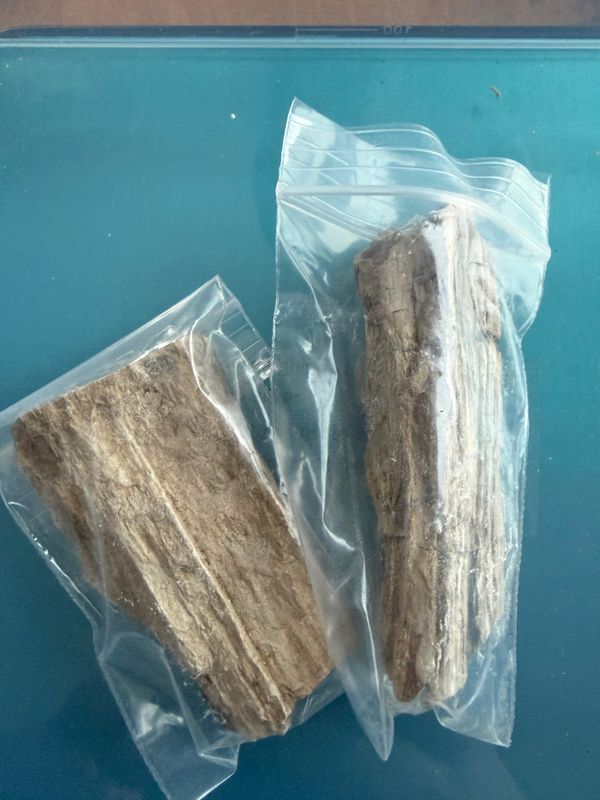 Petrified Wood Chunk