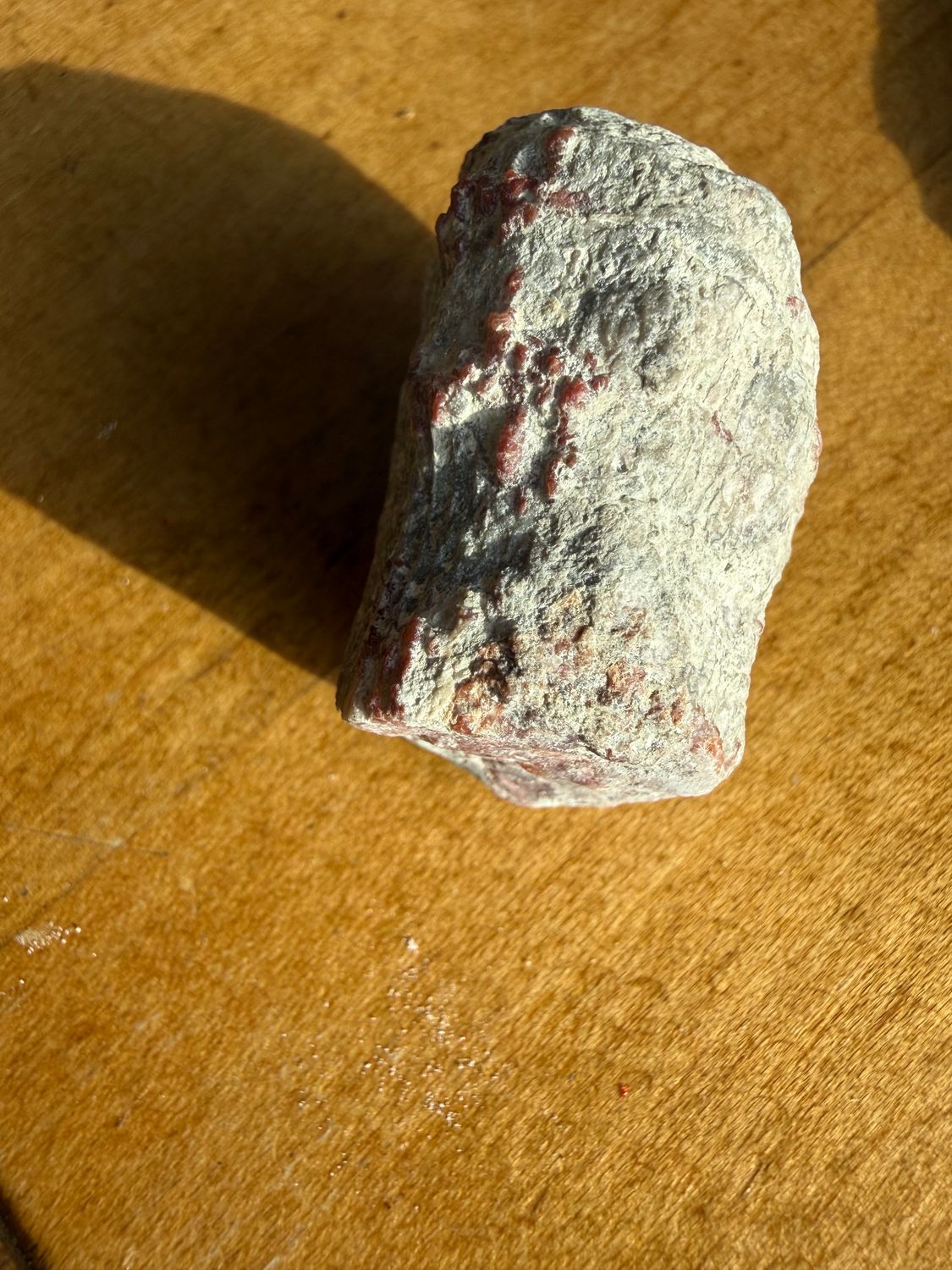 Red Horn Coral Opalized