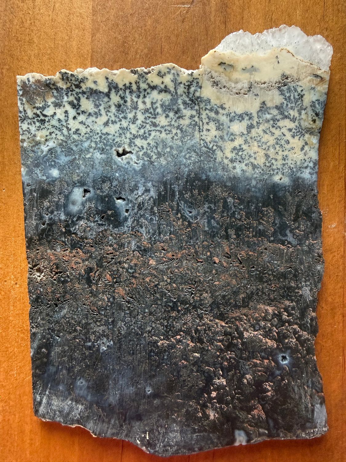 Tree Agate Slabs