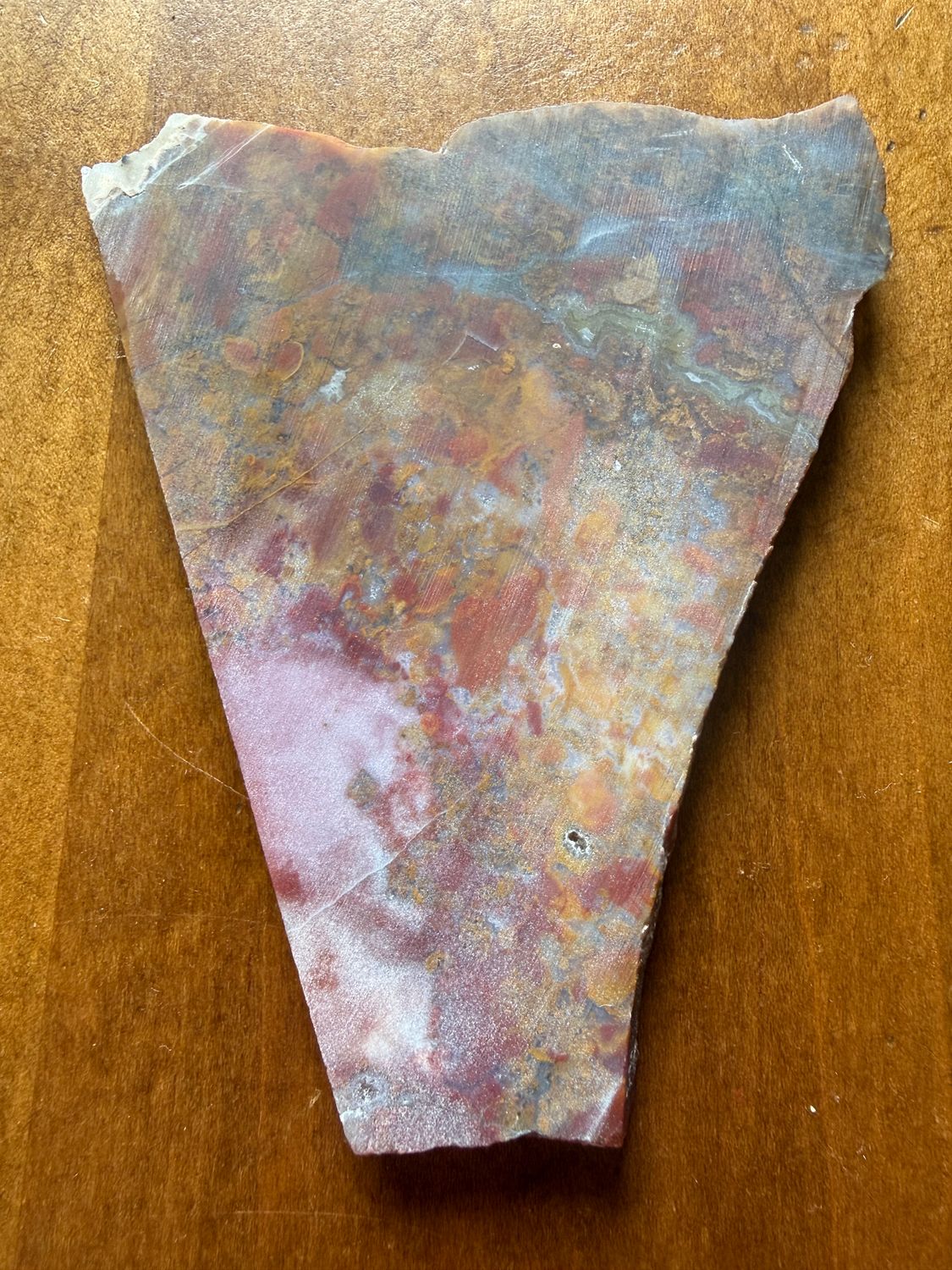 Rainbow Petrified Wood Slab