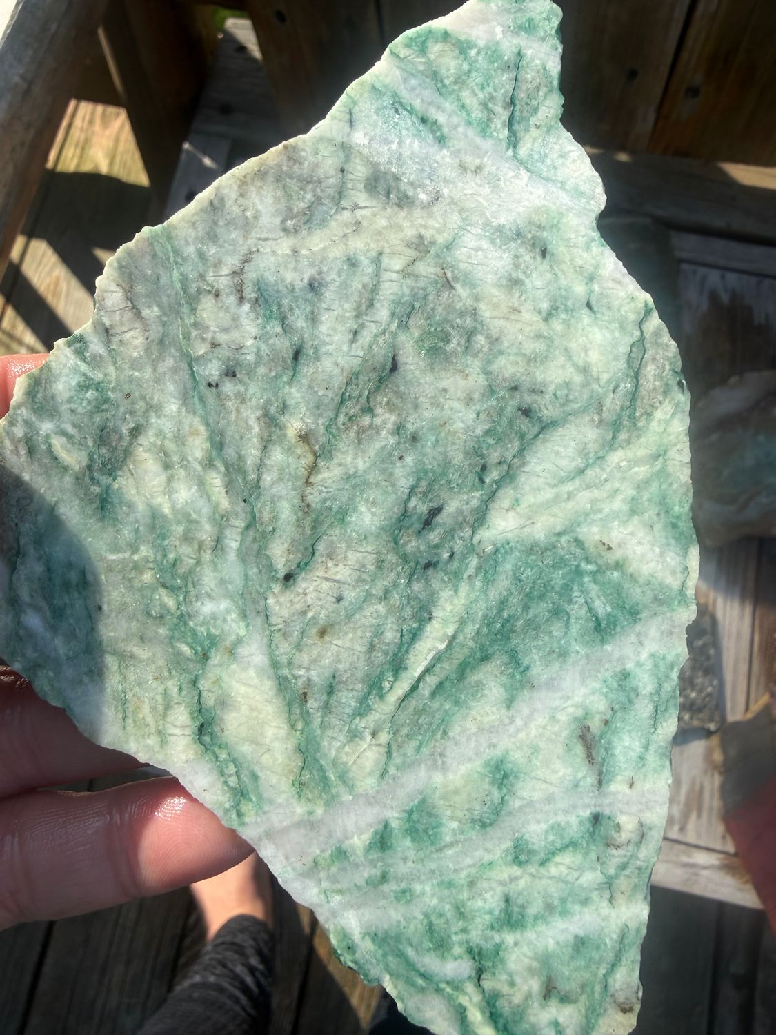 Tree Agate Slab