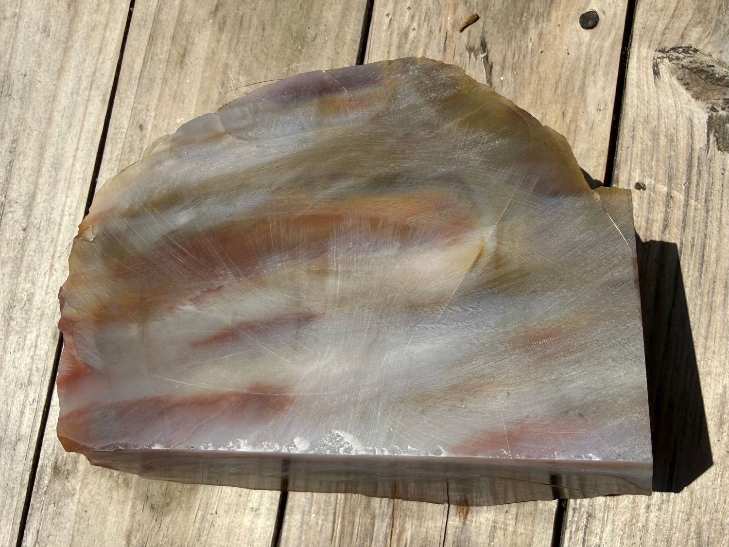 Agatized Rainbow Petrified Wood