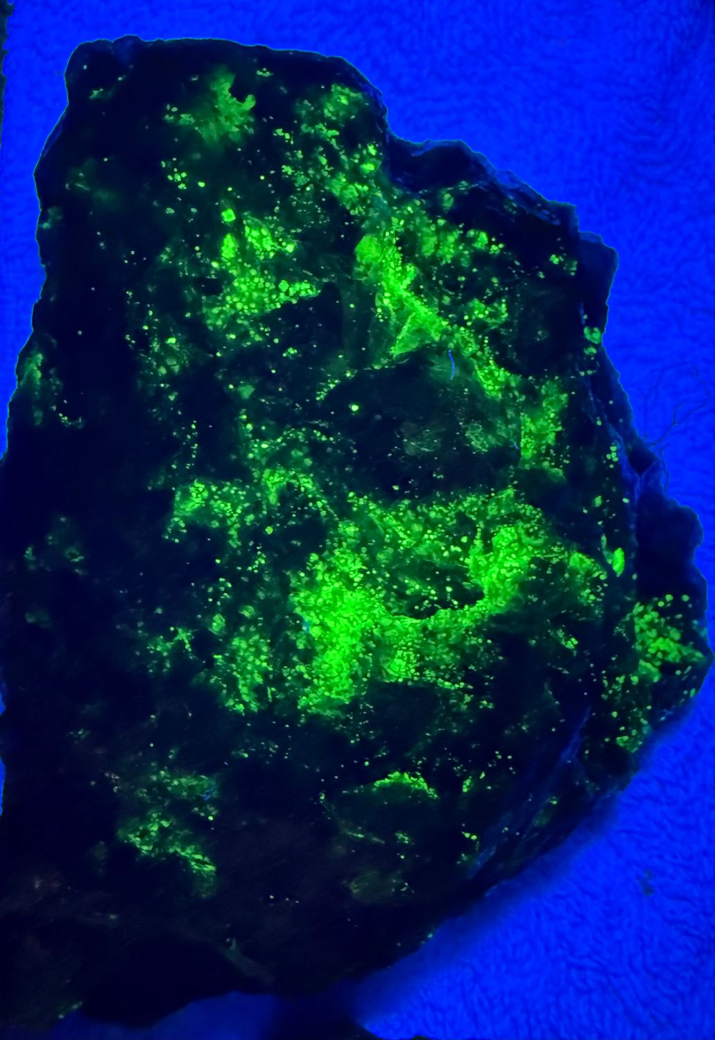 Fluorescent Mineral Packs