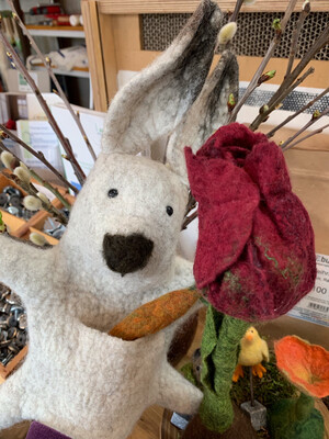 Hase
