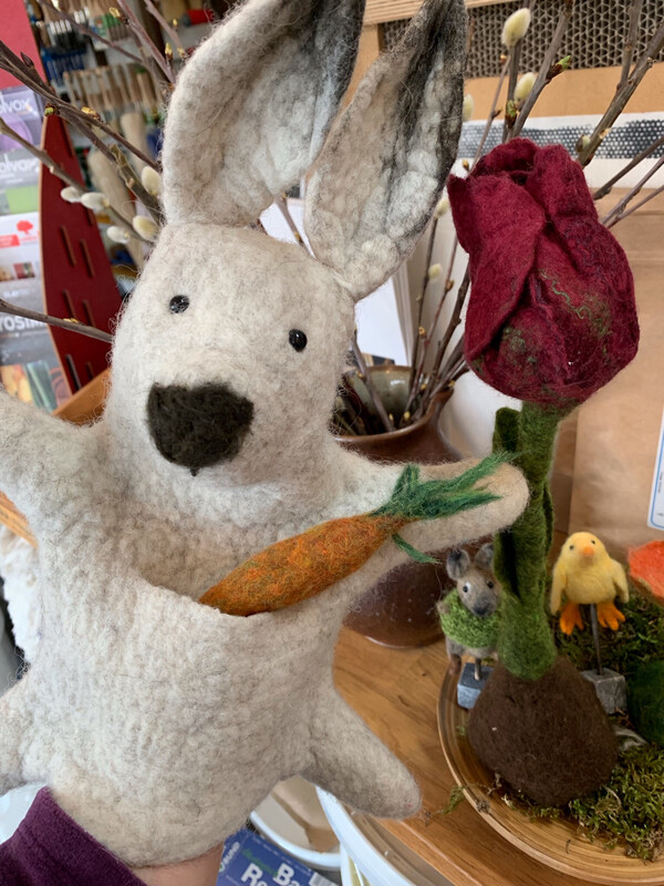 Hase