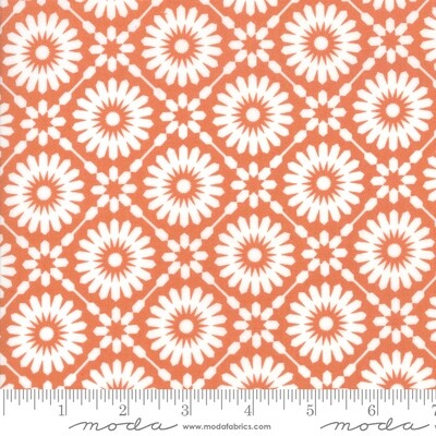 Midnight Magic Mist Orange