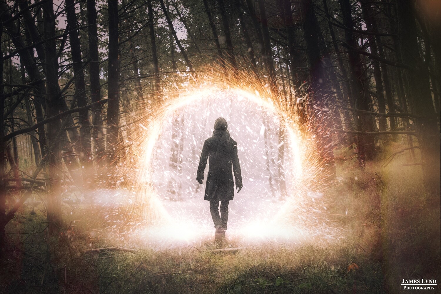 Portals Print