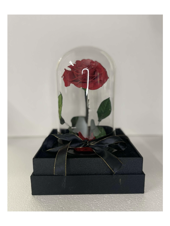 Everlasting Preserved Rose - Small