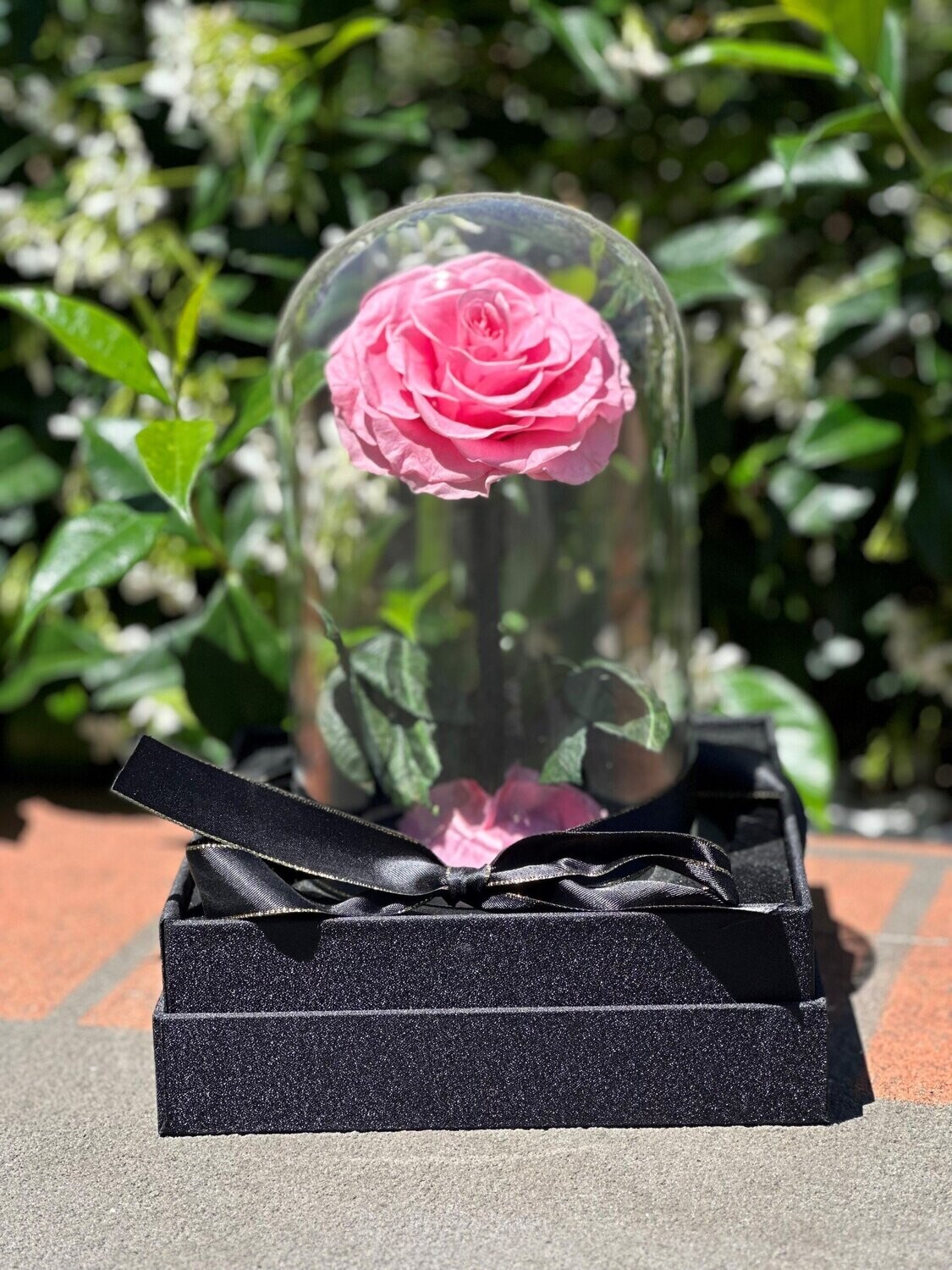 Preservative Small Rose Pink