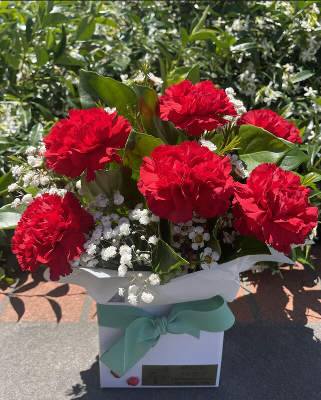 CARNATION LOVE