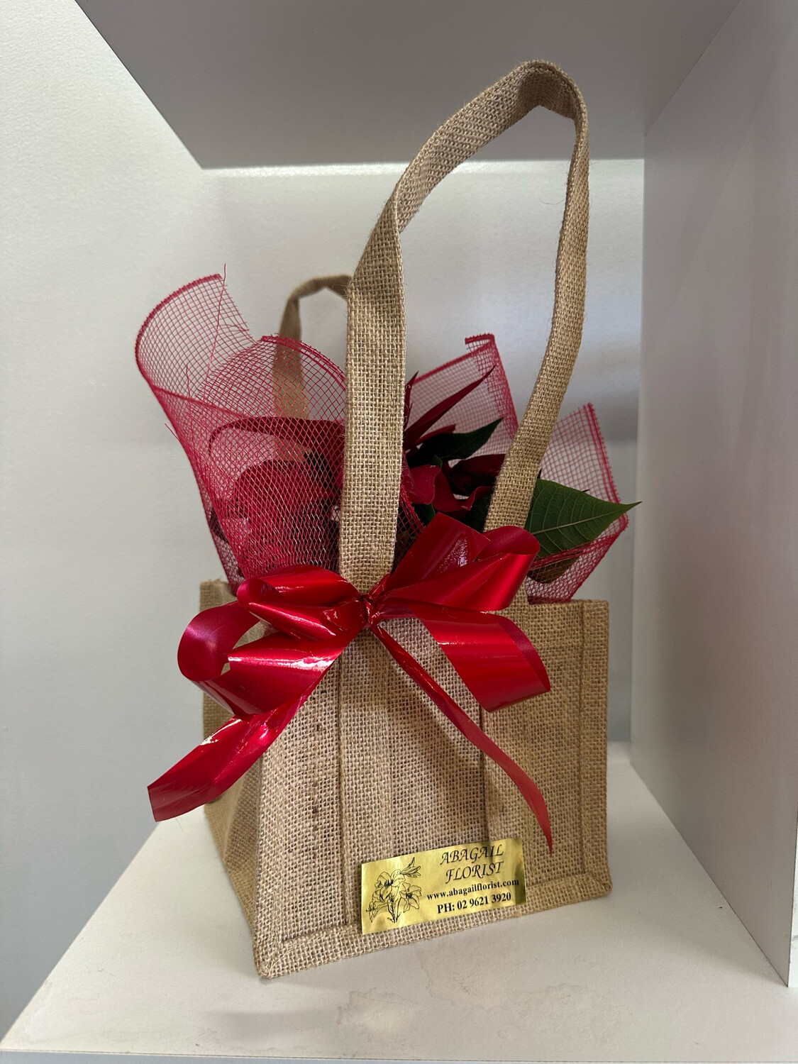 POINSETTIA IN HESSIAN BAG