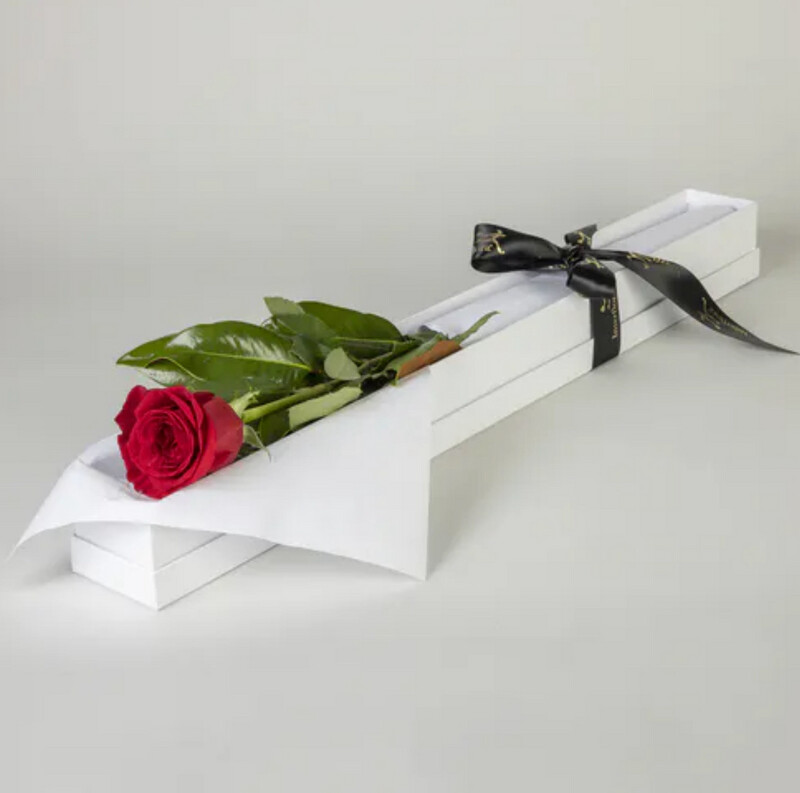 SINGLE ROSE IN PRESENTATION BOX