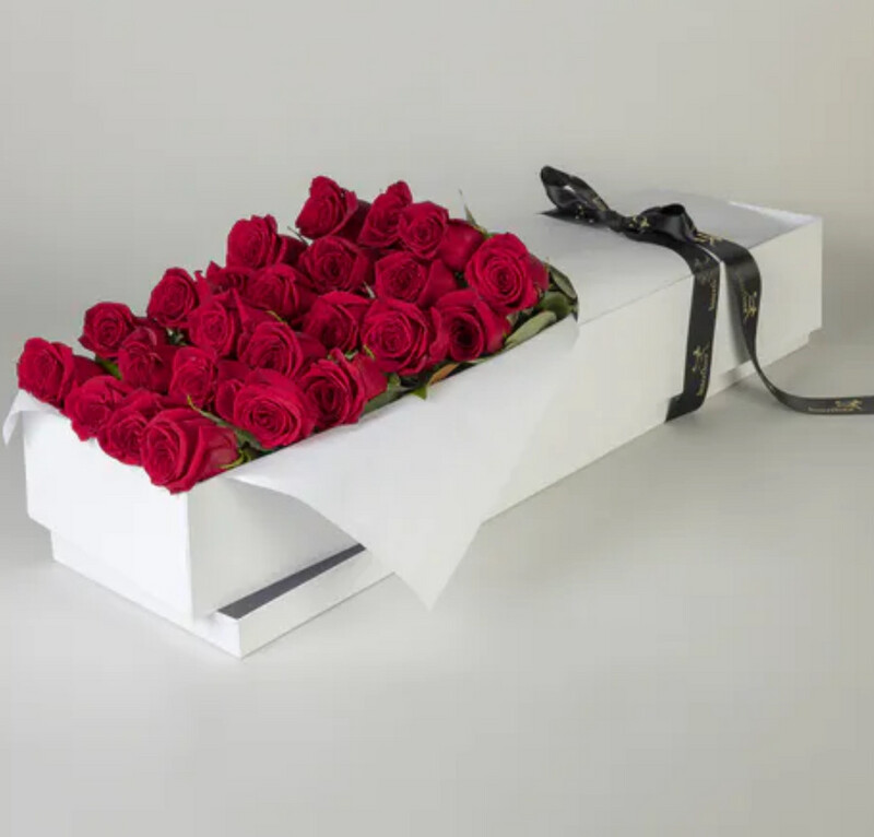 24X ROSES IN PRESENTATION BOX