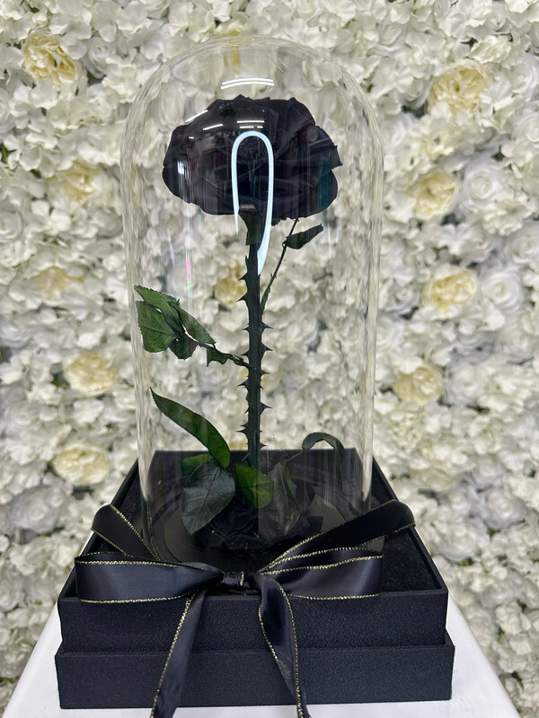 LARGE BLACK EVERLASTING ROSE