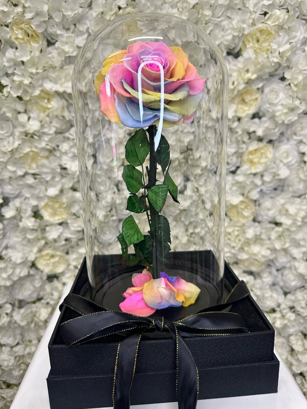 LARGE RAINBOW EVERLASTING ROSE
