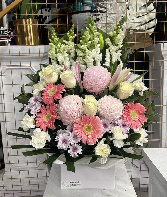 SNAP + GERBERA BOX
