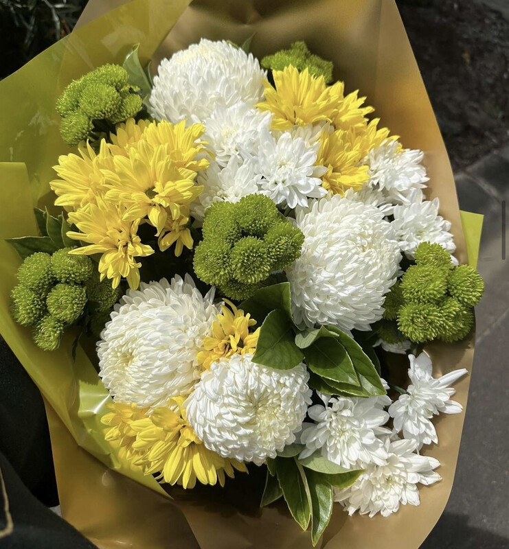 CHRYSANTHEMUM CHARM