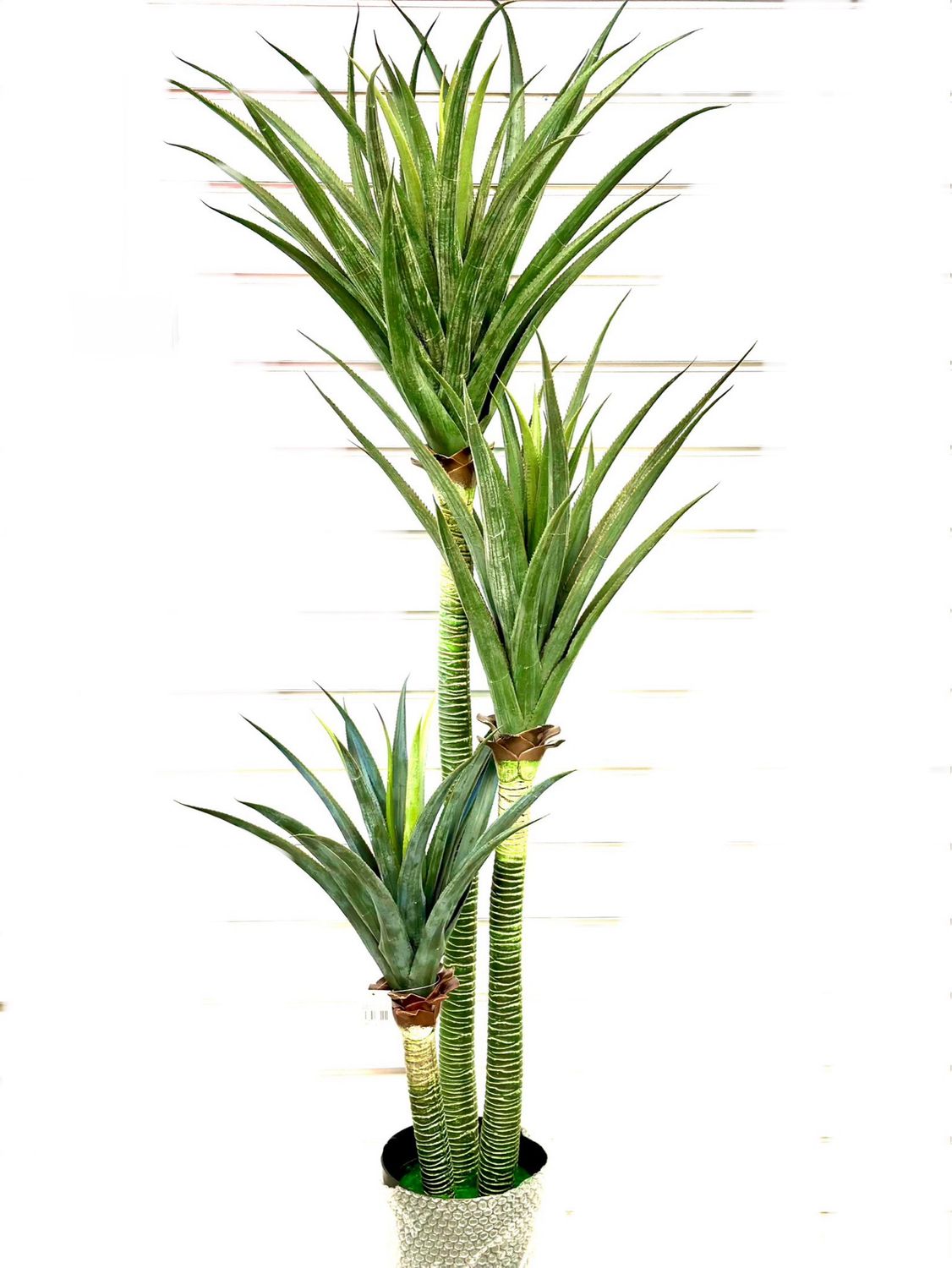 3 STEM TREE