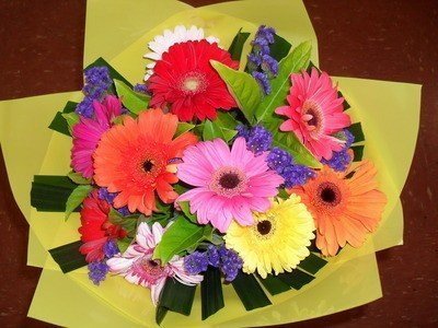 HAPPY GERBERA