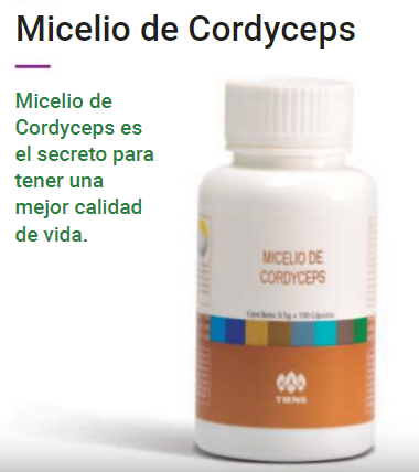 Micelio de Cordyceps Micelio de Cordyceps