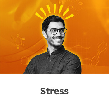 Stress