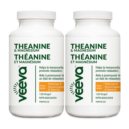 NEW Theanine & Magnesium with NeuroSupport B Vitamins 120 Vcaps DUO PACK