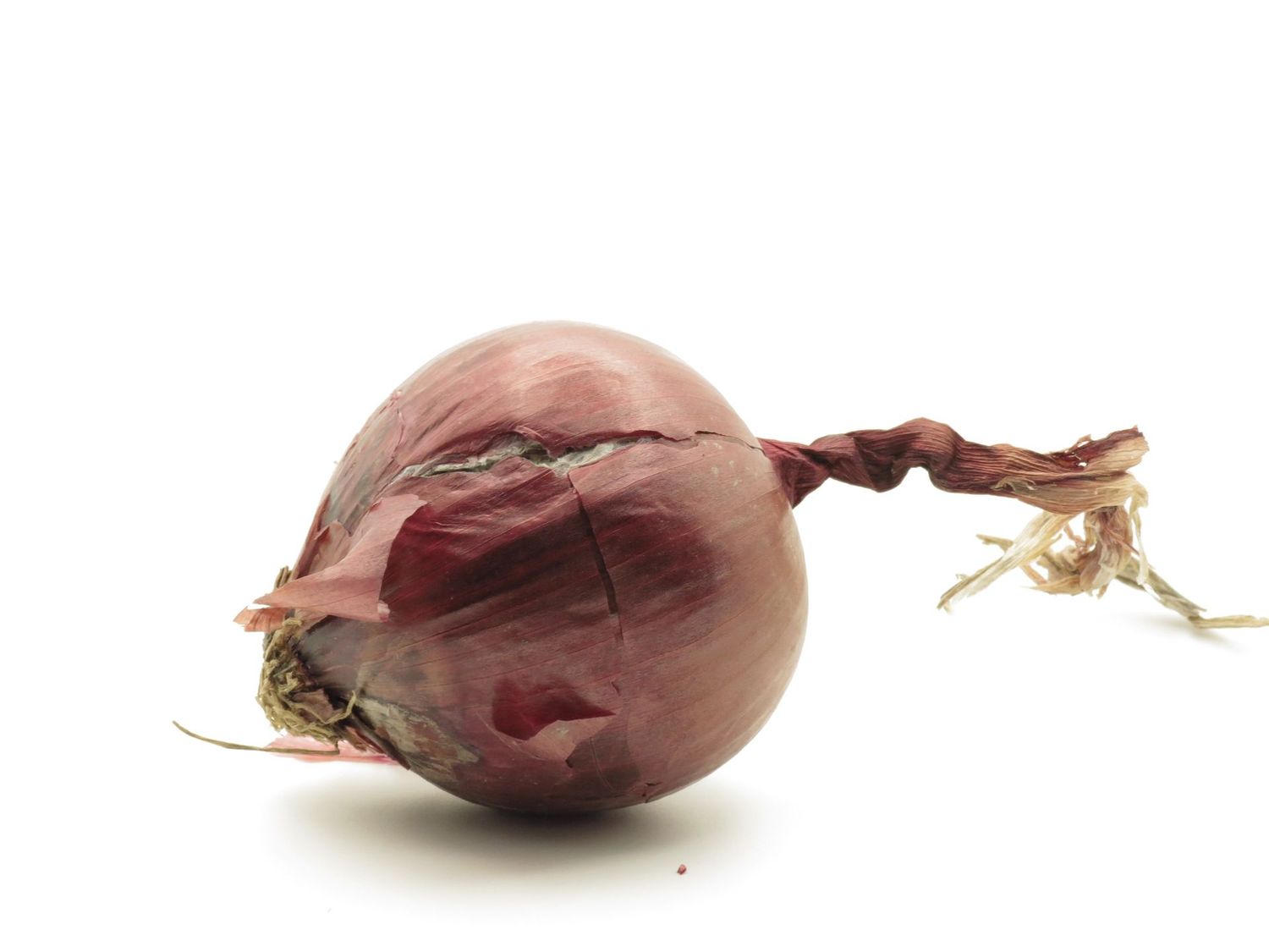 CIPOLLE ROSSE