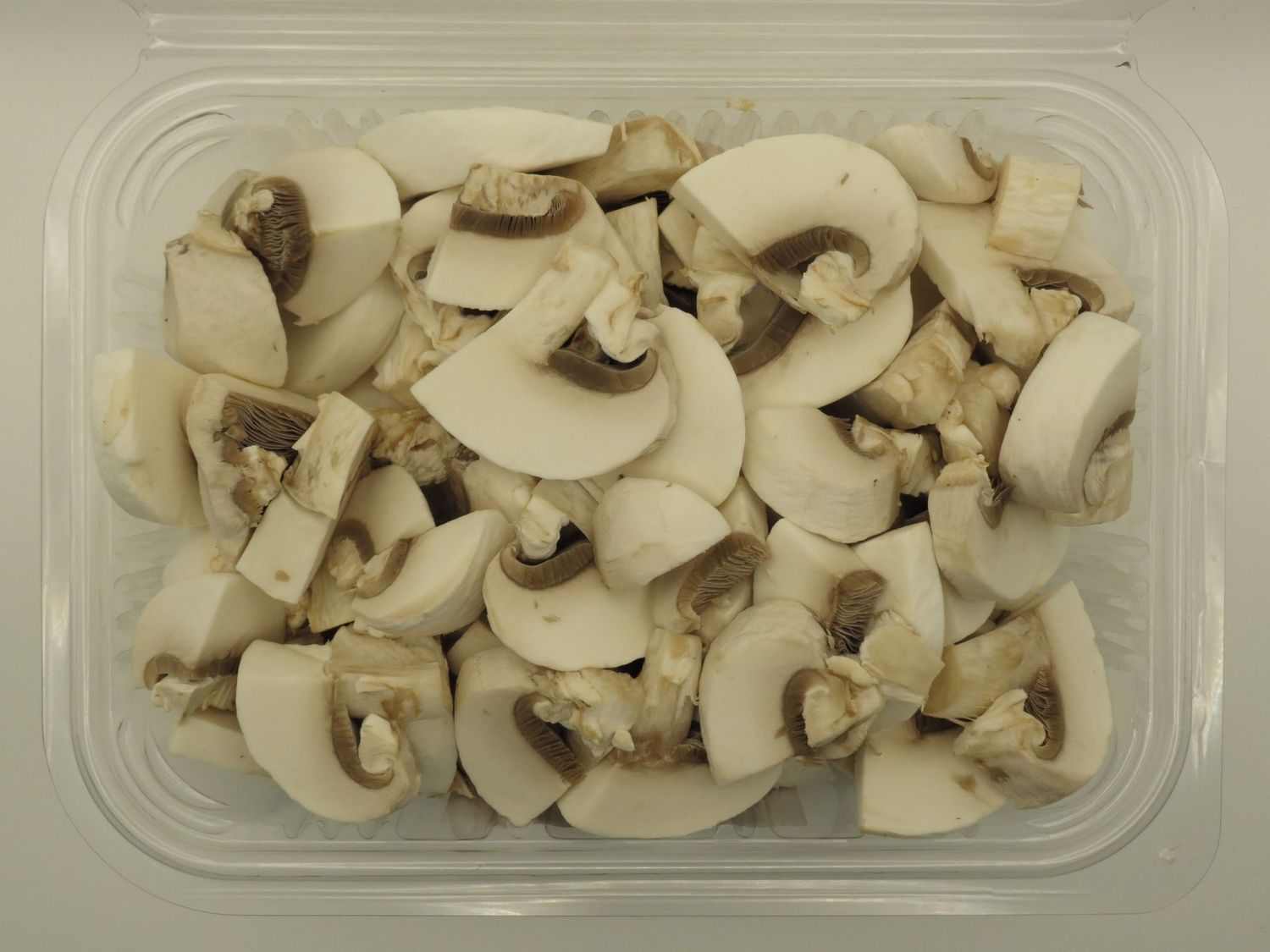 FUNGHI CHAMPIGNON