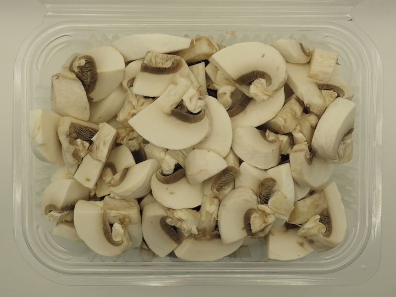FUNGHI CHAMPIGNON