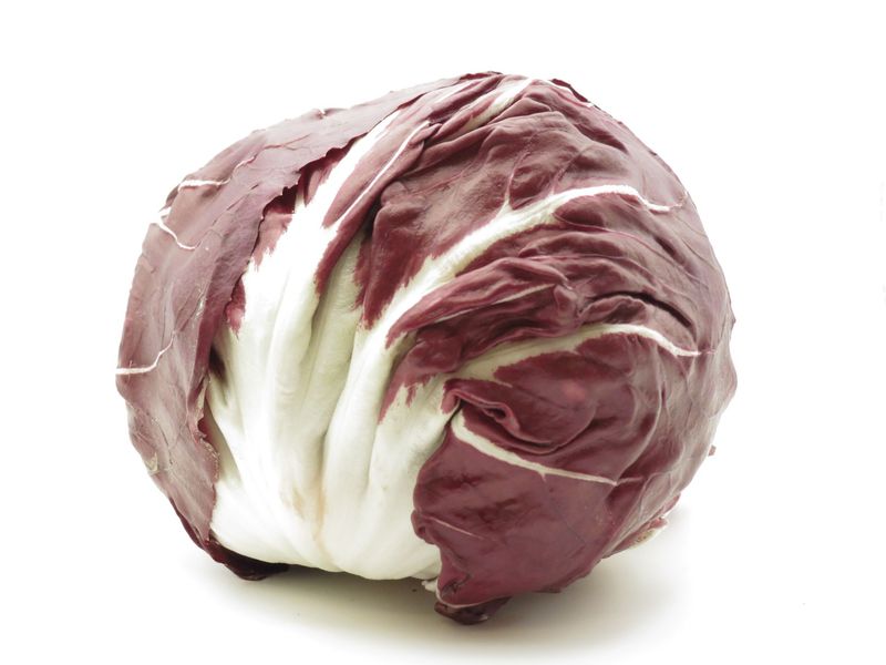 RADICCHIO