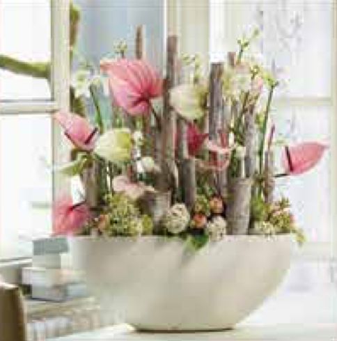 Arrangements C-15 Arrangements C-15