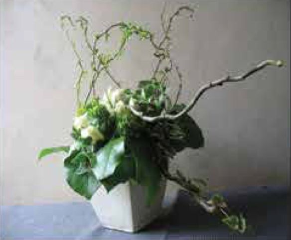 Arrangements C-24 Arrangements C-24
