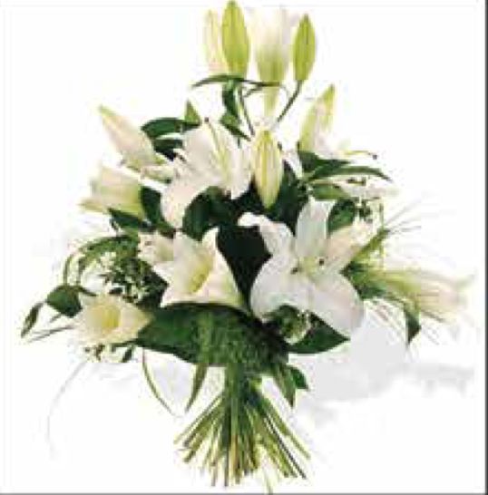 Bouquet B-25 Bouquet B-25