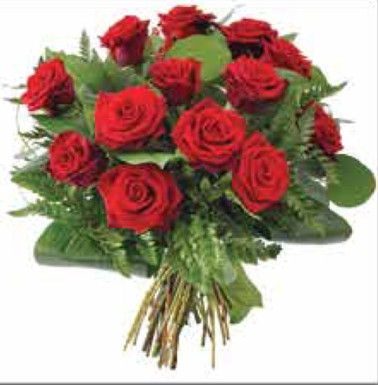 Bouquet B-26 Bouquet B-26