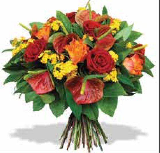 Bouquet B-29 Bouquet B-29