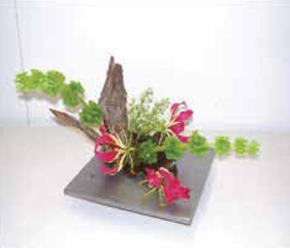Arrangements C-23 Arrangements C-23