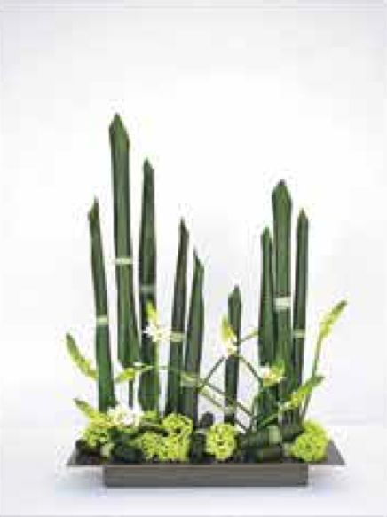 Arrangements C-37 Arrangements C-37
