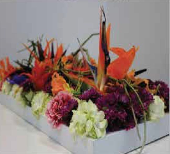 Arrangements C-46 Arrangements C-46