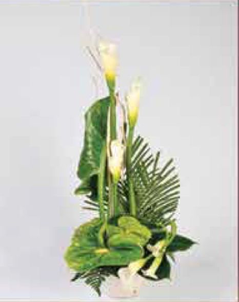Arrangements C-11 Arrangements C-11
