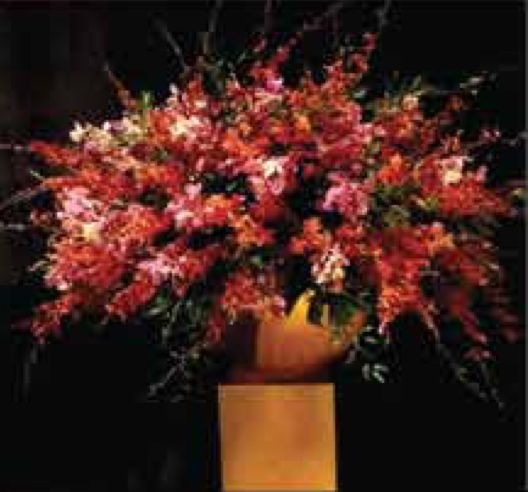Arrangements C-19 Arrangements C-19