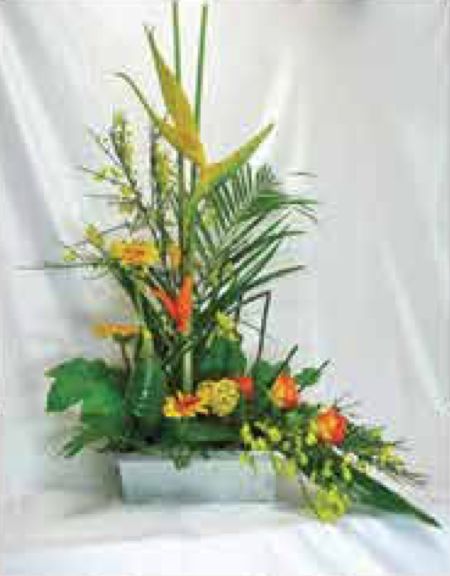 Arrangements C-42 Arrangements C-42