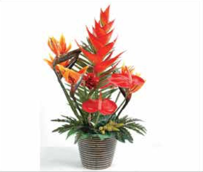 Arrangements C-43 Arrangements C-43