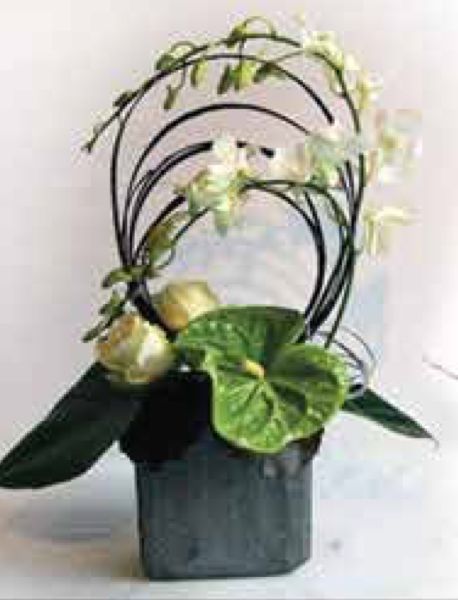 Arrangements C-33 Arrangements C-33
