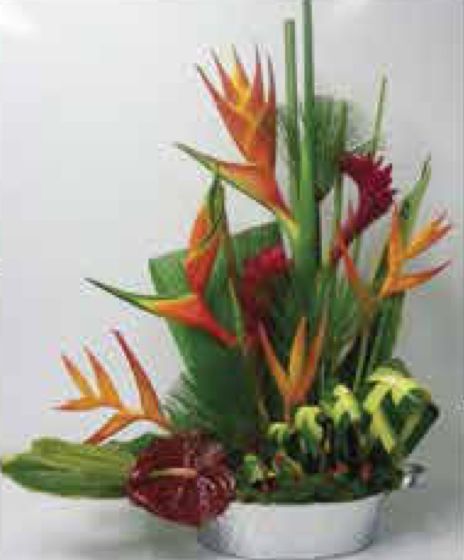 Arrangements C-41 Arrangements C-41