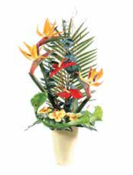 Arrangements C-44 Arrangements C-44