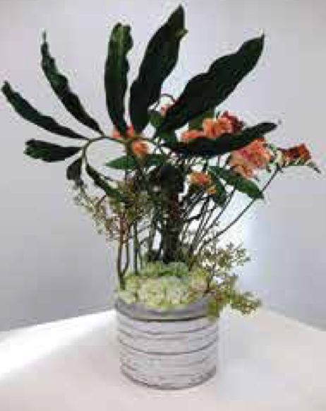 Arrangements C-48 Arrangements C-48