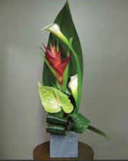 Arrangements C-53 Arrangements C-53