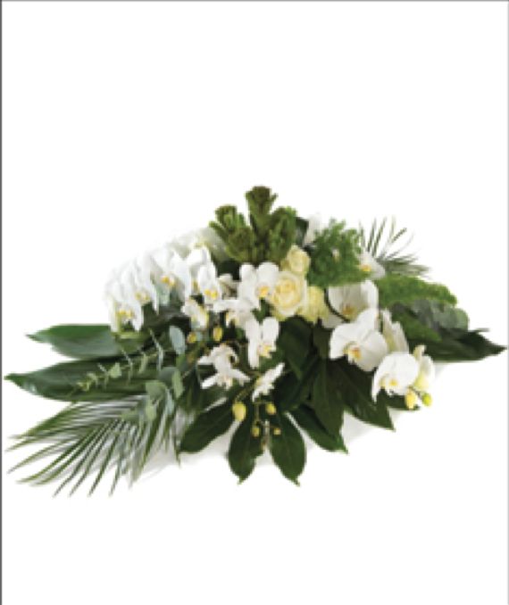 D-11 D-11